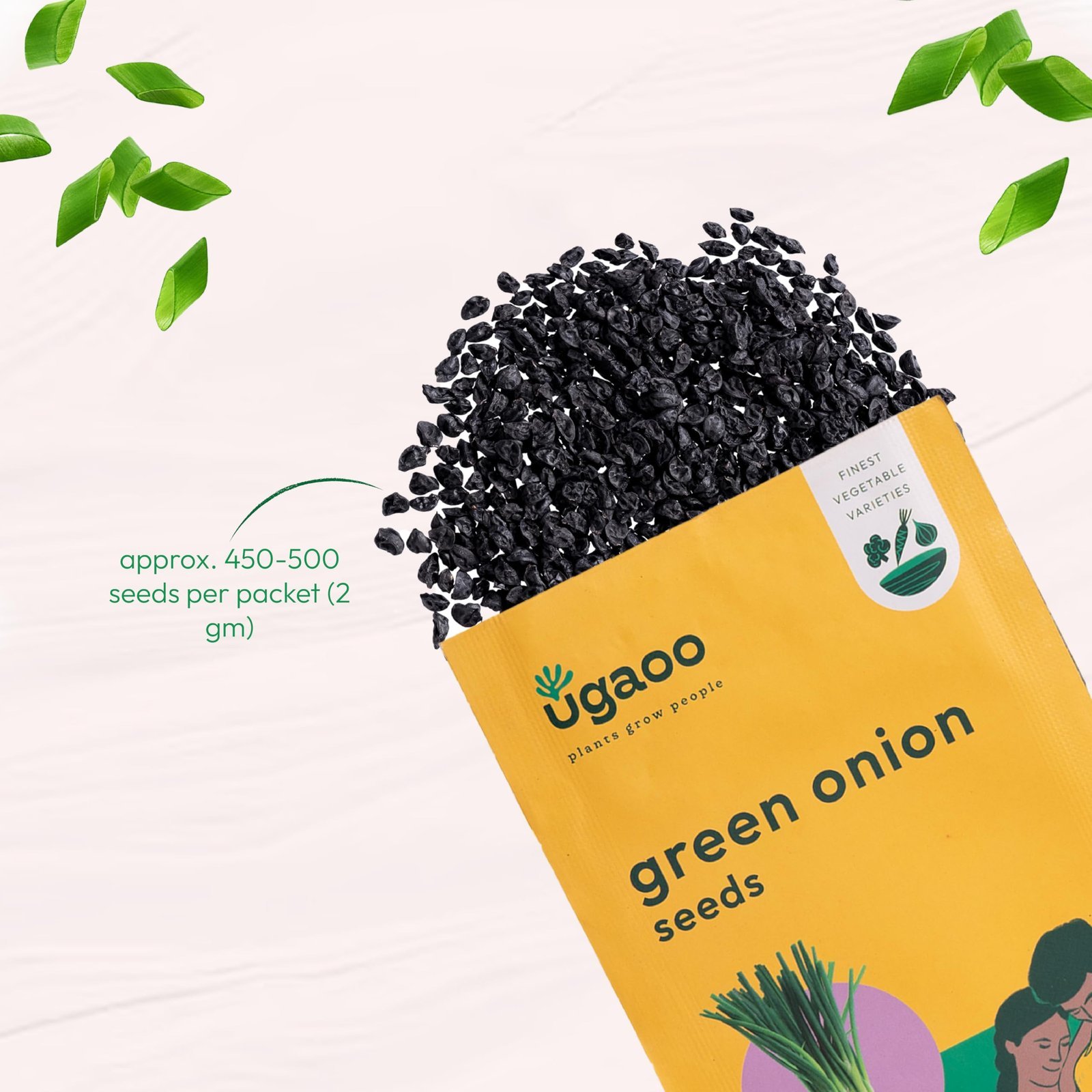 Leek or Onion Vegetable Seeds (Green, Pack of 2g) - Image 2