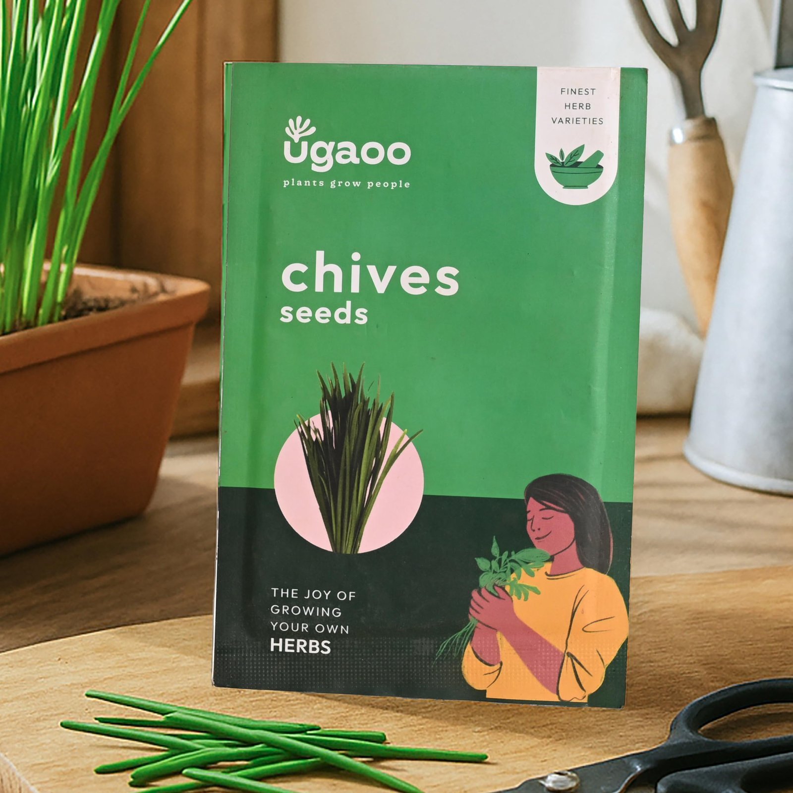 Chives Herb Seeds (Green, Pack of 500)