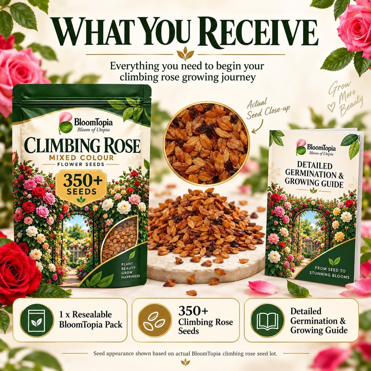 Climbing Rose Seeds Mixed Colour Flower Seeds 350+ Seeds - Image 4