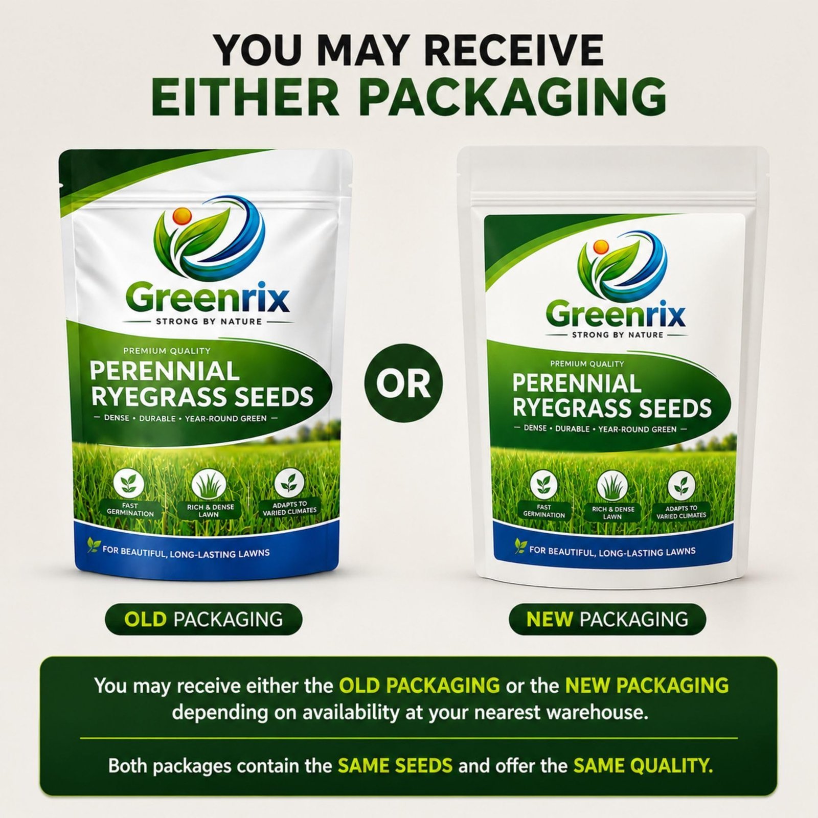 Perennial Ryegrass Seeds for Lawn | 100g (Covers 4 Sq Meter Area) - Image 6