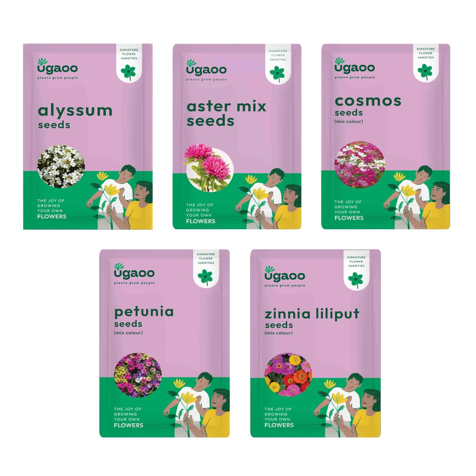 Summer Flower Seeds Bundle of 5 Packet (Aster Mix, Cosmos Mix, Petunia Mix, Zinnia Lilliput Mix, Alyssum)